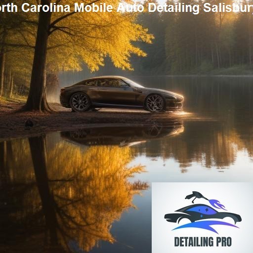 Customer Reviews and Testimonials - Mirror Finish Mobile Auto Detailing Salisbury