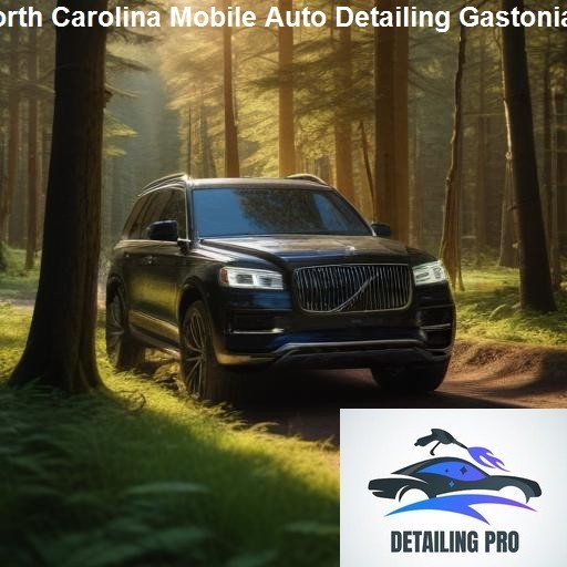 Process of Mobile Auto Detailing in Gastonia - Mirror Finish Mobile Auto Detailing Gastonia