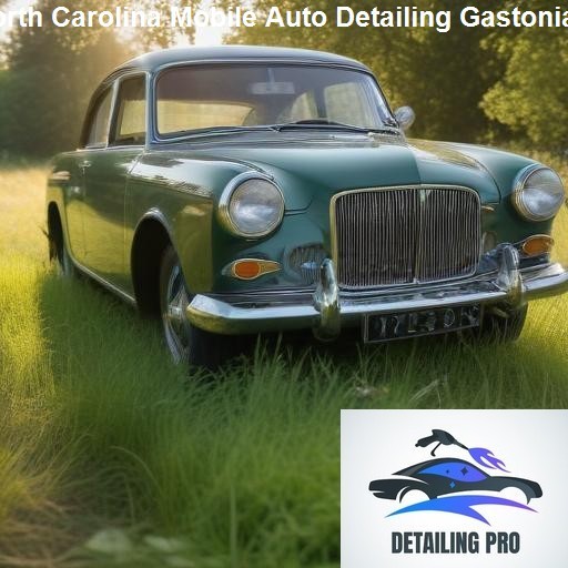 Understanding Mobile Auto Detailing - Mirror Finish Mobile Auto Detailing Gastonia