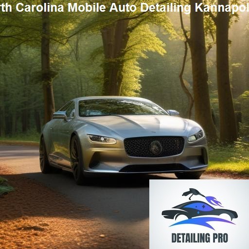 Understanding Mobile Auto Detailing - Mirror Finish Mobile Auto Detailing Kannapolis