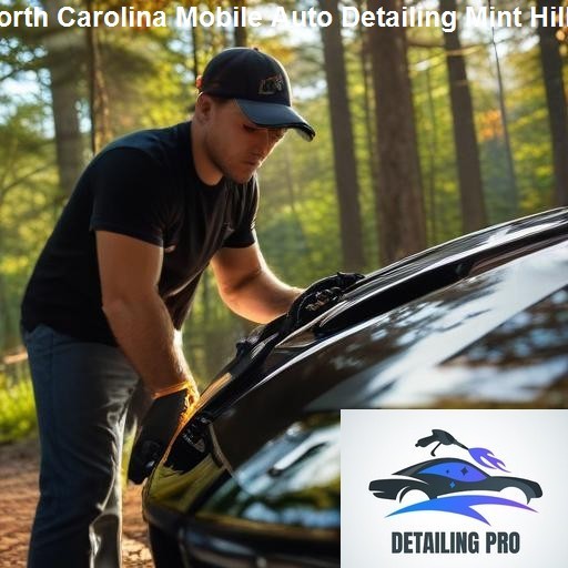 Understanding Mobile Auto Detailing - Mirror Finish Mobile Auto Detailing Mint Hill
