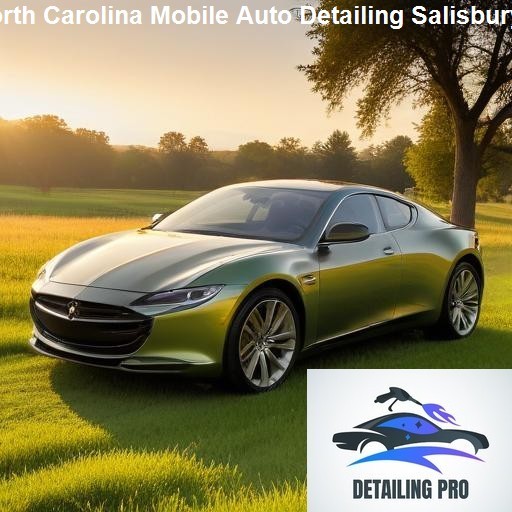Understanding Mobile Auto Detailing - Mirror Finish Mobile Auto Detailing Salisbury