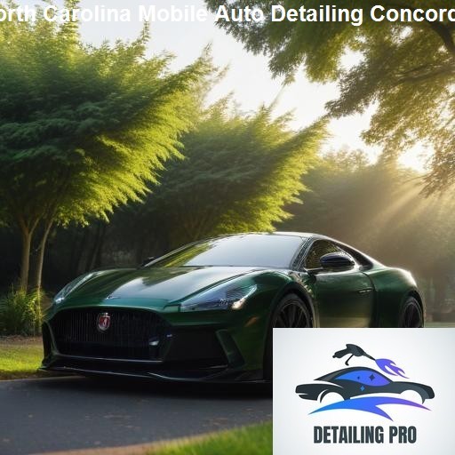 Understanding Mobile Auto Detailing in North Carolina - Mirror Finish Mobile Auto Detailing Concord