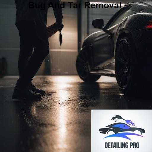 Mirror Finish Mobile Auto Detailing Bug And Tar Removal