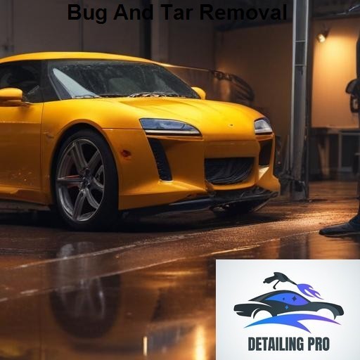 Mirror Finish Mobile Auto Detailing Bug And Tar Removal