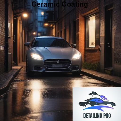 Mirror Finish Mobile Auto Detailing Ceramic Coating
