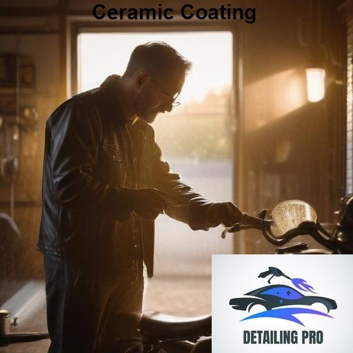 Mirror Finish Mobile Auto Detailing Ceramic Coating