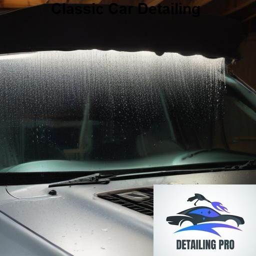Mirror Finish Mobile Auto Detailing Classic Car Detailing