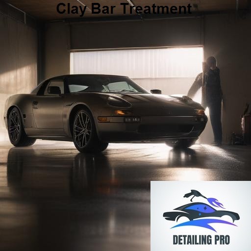 Mirror Finish Mobile Auto Detailing Clay Bar Treatment