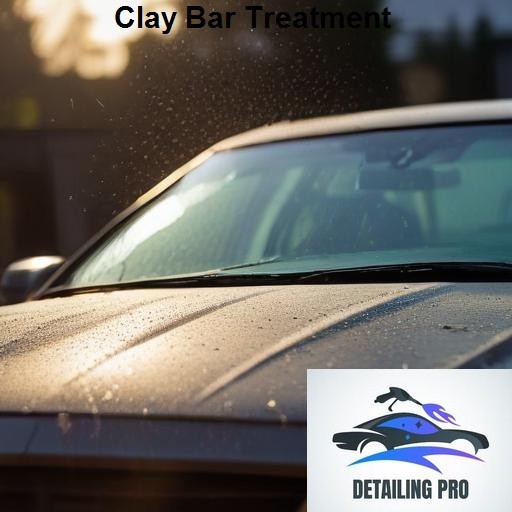 Mirror Finish Mobile Auto Detailing Clay Bar Treatment