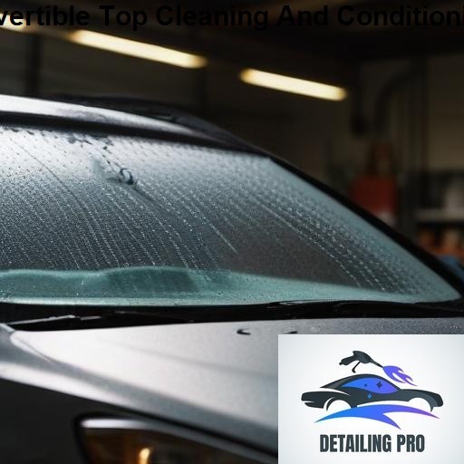 Mirror Finish Mobile Auto Detailing Convertible Top Cleaning And Conditioning