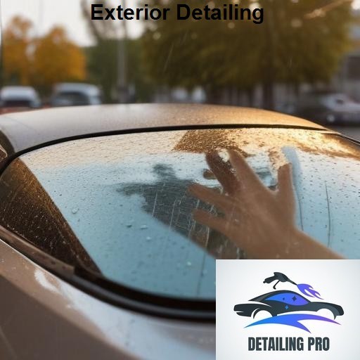 Mirror Finish Mobile Auto Detailing Exterior Detailing