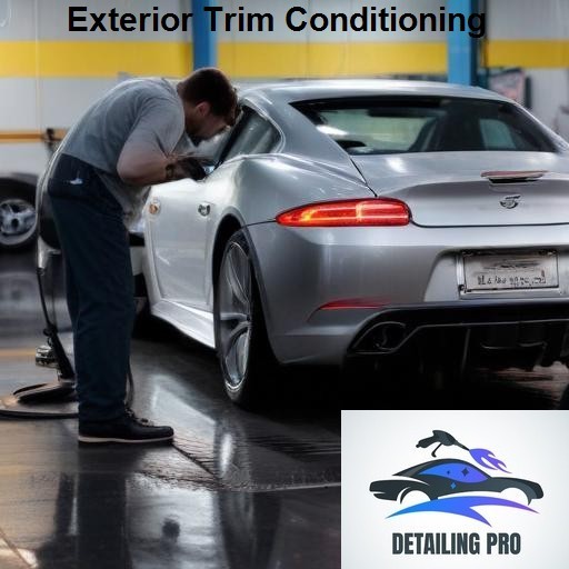 Mirror Finish Mobile Auto Detailing Exterior Trim Conditioning