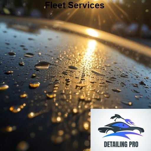 Mirror Finish Mobile Auto Detailing Fleet Services