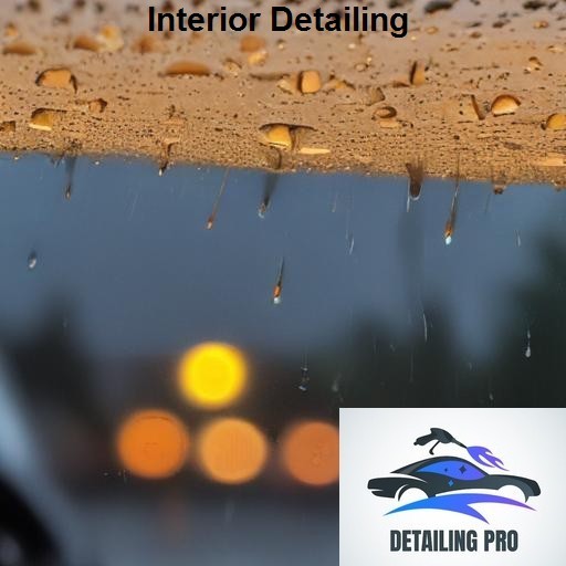Mirror Finish Mobile Auto Detailing Interior Detailing