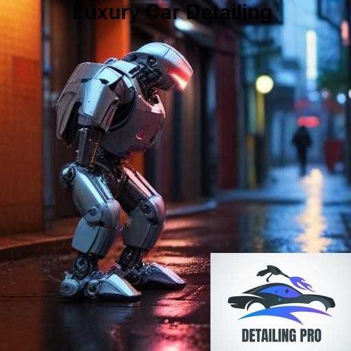 Mirror Finish Mobile Auto Detailing Luxury Car Detailing