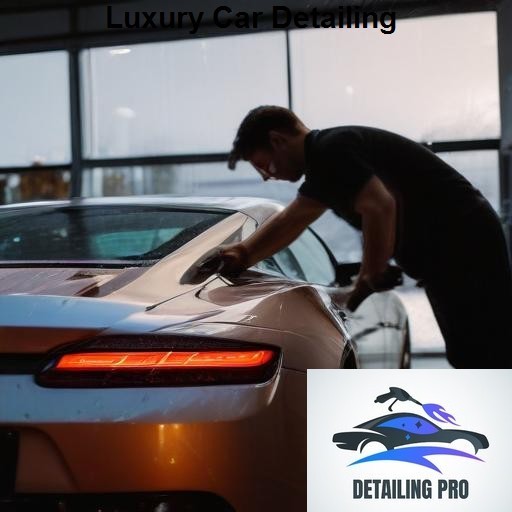 Mirror Finish Mobile Auto Detailing Luxury Car Detailing