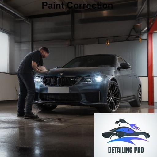 Mirror Finish Mobile Auto Detailing Paint Correction