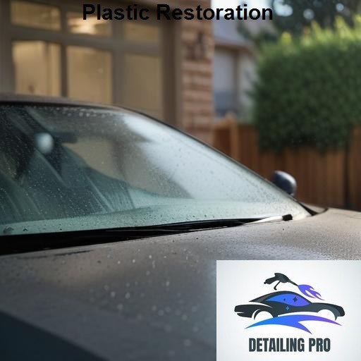 Mirror Finish Mobile Auto Detailing Plastic Restoration