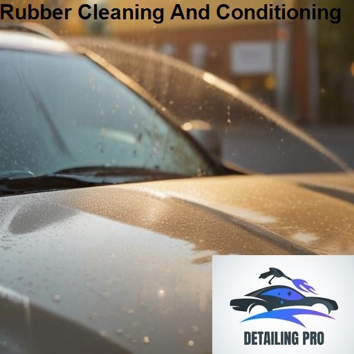 Mirror Finish Mobile Auto Detailing Rubber Cleaning And Conditioning