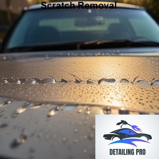 Mirror Finish Mobile Auto Detailing Scratch Removal