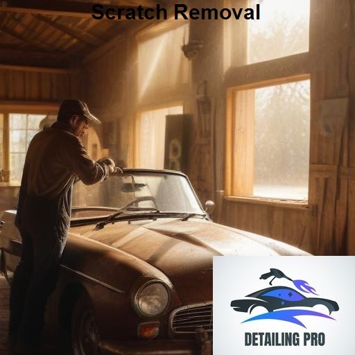Mirror Finish Mobile Auto Detailing Scratch Removal