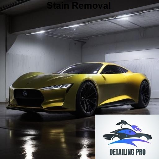 Mirror Finish Mobile Auto Detailing Stain Removal