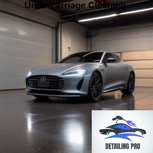 Mirror Finish Mobile Auto Detailing Undercarriage Cleaning
