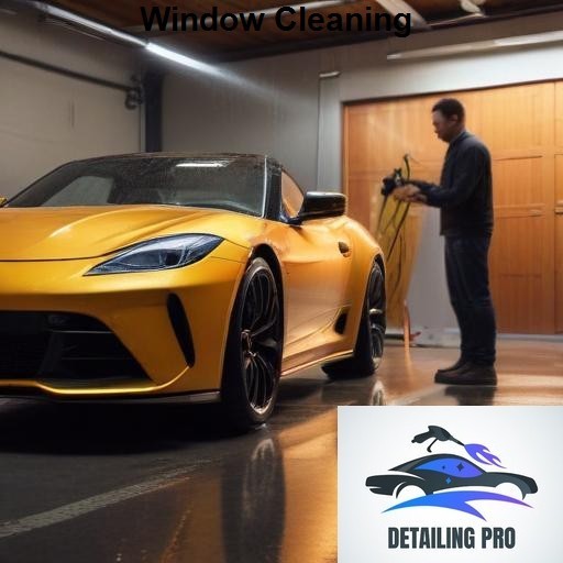Mirror Finish Mobile Auto Detailing Window Cleaning